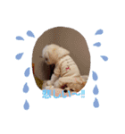 LUNA＆SEAの可愛い会話(Xmas ver.)（個別スタンプ：28）