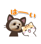 LUNA＆SEAの可愛い会話(Xmas ver.)（個別スタンプ：30）