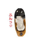 我が家のミント様〜総集編〜（個別スタンプ：2）