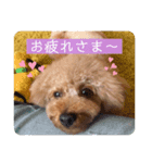LUANA.part1（個別スタンプ：4）