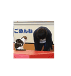 外房ガイズLINEスタンプ（個別スタンプ：1）