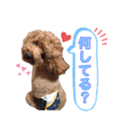 実家のかわいい家族たち（個別スタンプ：4）