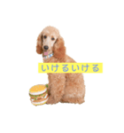世界一かわいい犬（個別スタンプ：4）
