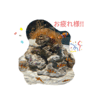 僕の作った海の生き物たちのスタンプ（個別スタンプ：6）