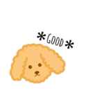 ♥︎Toy・Poodle♥︎stamp♥︎（個別スタンプ：6）