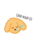 ♥︎Toy・Poodle♥︎stamp♥︎（個別スタンプ：8）