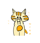 かわいい❗️にゃんこみつごスタンプ（個別スタンプ：6）