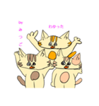 かわいい❗️にゃんこみつごスタンプ（個別スタンプ：23）