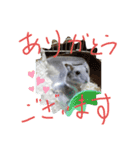 cocoちゃんbyハムハム（個別スタンプ：6）