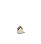 こっこすたんぷ。（個別スタンプ：6）