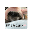 たおたん倶楽部（個別スタンプ：2）