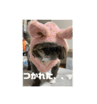 たおたん倶楽部（個別スタンプ：4）
