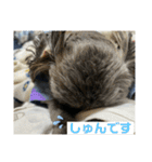 たおたん倶楽部（個別スタンプ：7）