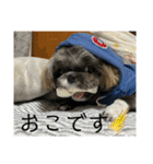 たおたん倶楽部（個別スタンプ：8）