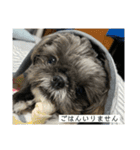 たおたん倶楽部（個別スタンプ：17）