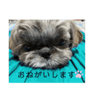 たおたん倶楽部（個別スタンプ：20）