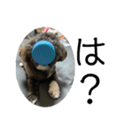 たおたん倶楽部（個別スタンプ：21）