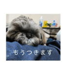 たおたん倶楽部（個別スタンプ：26）