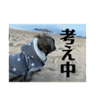 たおたん倶楽部（個別スタンプ：35）
