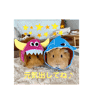 癒し系モルモット♡モッチ＆パン（個別スタンプ：2）