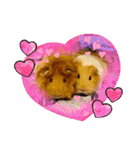 癒し系モルモット♡モッチ＆パン（個別スタンプ：4）