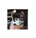 アキハルタマ2（個別スタンプ：8）