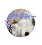 maimaisan（個別スタンプ：8）