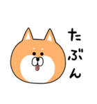 柴犬のような犬3（個別スタンプ：5）