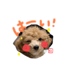 ラテさんのまいにち。2（個別スタンプ：14）