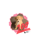 ラテさんのまいにち。2（個別スタンプ：16）