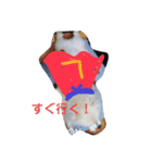 犬と熱帯魚（個別スタンプ：5）