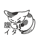 ねここたち（個別スタンプ：9）