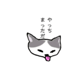 ねここたち（個別スタンプ：17）