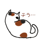 ねここたち（個別スタンプ：20）