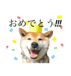 やまちゃんそのに（個別スタンプ：14）