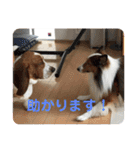 犬のチリィちゃんスタンプ（個別スタンプ：18）