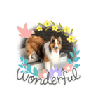犬のチリィちゃんスタンプ（個別スタンプ：21）