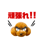 マルプーのmahalo（個別スタンプ：19）