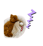 マルプーのmahalo（個別スタンプ：31）