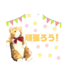 隊長スタンプ【 Welina bridal】（個別スタンプ：7）