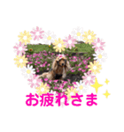 なな姫のまいにち（個別スタンプ：4）
