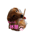 なな姫のまいにち（個別スタンプ：6）