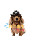 なな姫のまいにち（個別スタンプ：7）