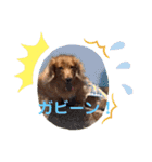 なな姫のまいにち（個別スタンプ：8）