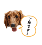 れもん①（個別スタンプ：2）