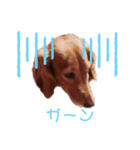 れもん①（個別スタンプ：4）