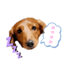 れもん①（個別スタンプ：5）