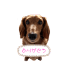 れもん①（個別スタンプ：8）