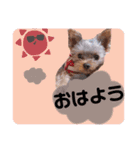 やまじfamilyスタンプ（個別スタンプ：7）