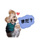 やまじfamilyスタンプ（個別スタンプ：13）